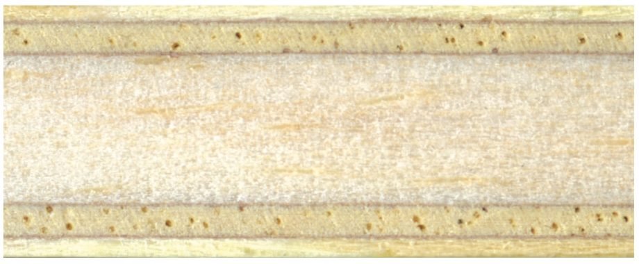 BALSA ALLROUND 50 - Image 4