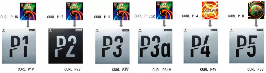 CURL P1V - Image 3