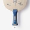 Timo boll zlc FL