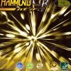 Nittaku Hammond CR table tennis rubber