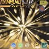 Nittaku Hammond CR va stalo teniso guma