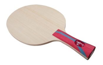 DHS Fang Bo All wood stalo teniso pagrindas