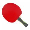 Gewo champ bat