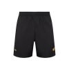 Butterfly Puro shorts stalo teniso šortai