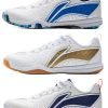 Li-Ning Shoes Eagle Eye 3.0 APPV003, Li-Ning bateliai Eagle Eye 3.0 APPV003, 